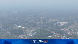 DPR Minta Pemerintah Tetapkan Karhutla Kalimantan sebagai Bencana Nasional