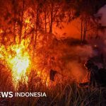 El Nino Godzilla Memicu Bencana Karhutla 2026: Ribuan Hektare Ludes Terbakar