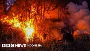 El Nino Godzilla Memicu Bencana Karhutla 2026: Ribuan Hektare Ludes Terbakar
