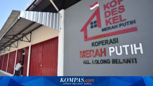 Fenomena 135 Kopdes Merah Putih di Kalsel: Benarkah Berdiri di Atas Laut?