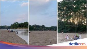 Fenomena Unik Kemarau: Sungai Way Kanan di Lampung Berubah Menjadi Pantai Dadakan