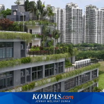 Forest City Malaysia: Dari Kota Hijau Impian Menjadi Pusat Kejahatan Siber