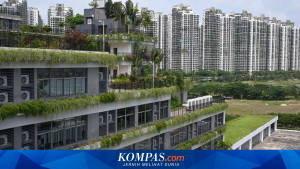Forest City Malaysia: Dari Kota Hijau Impian Menjadi Pusat Kejahatan Siber