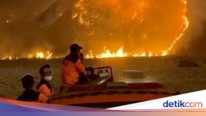 Gunung Bromo Terbakar, Aktivitas Wisata Dihentikan Sementara Demi Keselamatan