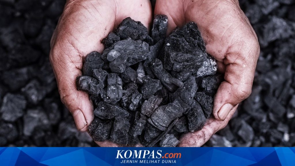 Harga Batu Bara Acuan Anjlok: Turun 5,62 Persen ke Level 124,44 Dolar AS pada Agustus 2026