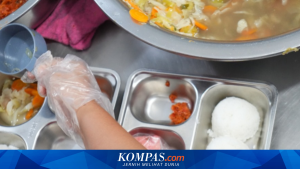 Haters: Pengagum Rahasia Pemerintah? Fakta di Balik Fenomena