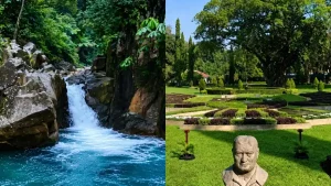 Ide Healing Akhir Pekan di Bogor: Destinasi Seru dan Praktis Tanpa Ribet