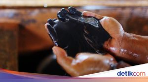 Indonesia Ekspor 100 Kapal Mineral Senilai Rp2,2 Triliun ke Berbagai Negara
