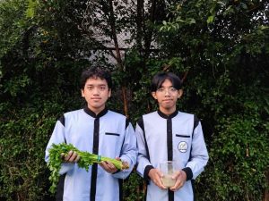 Inovasi Siswa Hasmi: Mengubah Seledri dari Dapur Menjadi Terapi Diabetes di Laboratorium