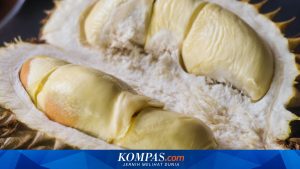 Jelajahi 16 Makanan Paling Beraroma Kuat di Dunia, Dua Diantaranya Berasal dari Indonesia