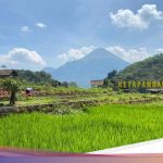 Jelajahi Keindahan Alam Sekitar Surabaya saat Long Weekend