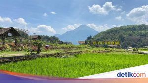 Jelajahi Keindahan Alam Sekitar Surabaya saat Long Weekend