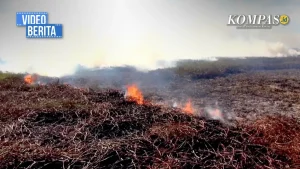 Kalteng Tetapkan Status Siaga Darurat Karhutla