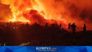 Karhutla Semakin Mengkhawatirkan, Pemerintah Perkuat Strategi dan Inovasi Pemadaman