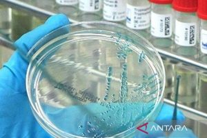 Kasus Flu Burung Meningkat, Australia Terapkan Karantina Wajib