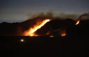 Kebakaran di Kawasan Wisata Bromo: Pemerintah Buka Opsi Penyesuaian Perjalanan