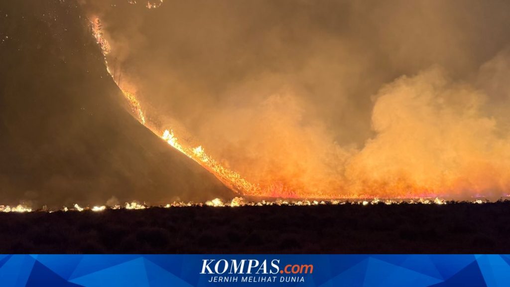 Kebakaran Hutan Bromo: Anggota DPR Soroti Perlunya Pengawasan dan Penegakan Hukum di Kawasan Hutan