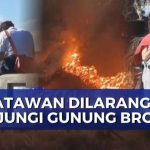 Kebakaran Meluas, Gunung Bromo Tutup Akses Pengunjung
