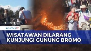 Kebakaran Meluas, Gunung Bromo Tutup Akses Pengunjung