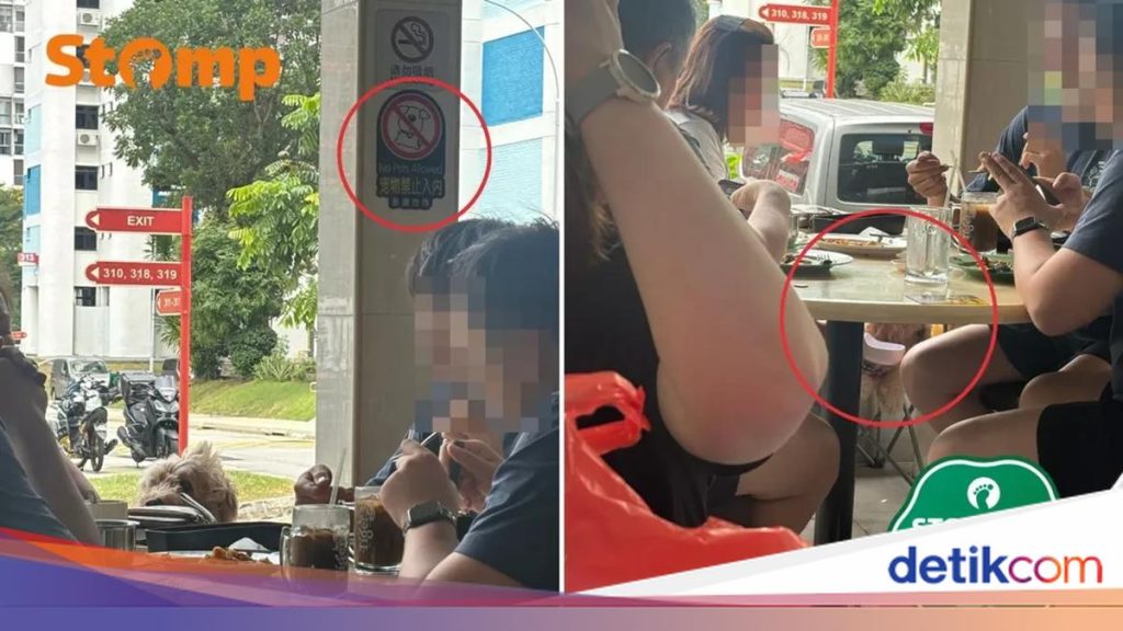 Kehebohan Anjing di Kafe hingga Kuliner Baru Gading Serpong, Simak Ulasannya!