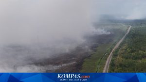 Kemenkes Didorong Lindungi Warga dari Dampak Kebakaran Hutan dan Lahan