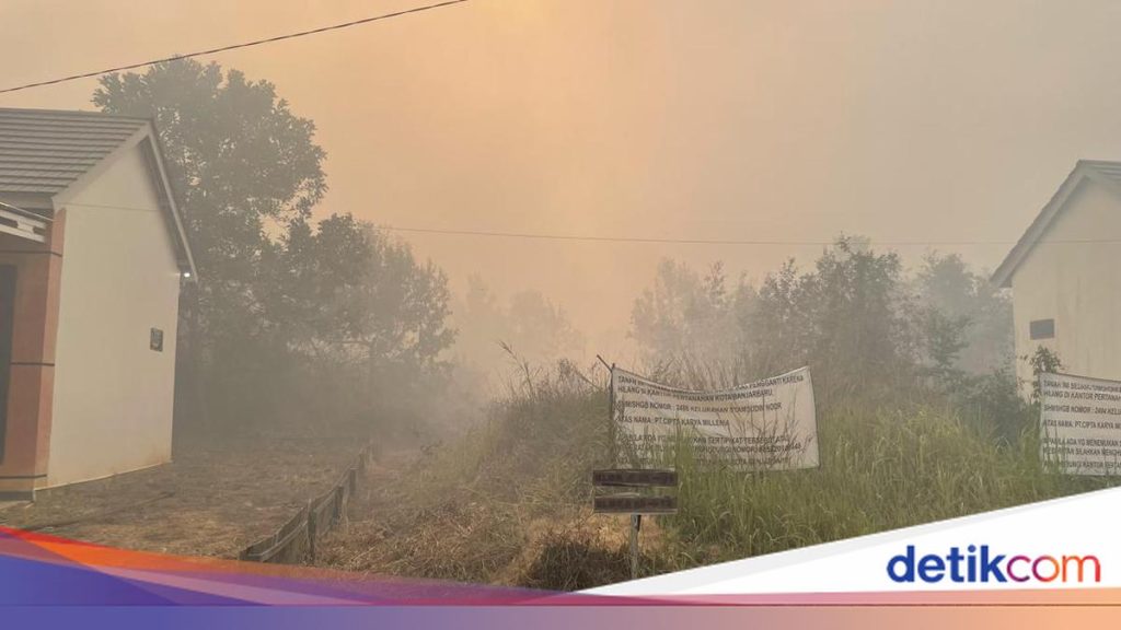 Kemenkes Dirikan Posko Bencana Asap Akibat Karhutla Kalimantan, Kasus ISPA Melonjak