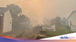 Kemenkes Dirikan Posko Bencana Asap Akibat Karhutla Kalimantan, Kasus ISPA Melonjak