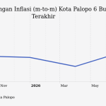 Kenaikan Belanja Rekreasi, Olahraga, dan Budaya di Palopo pada Juli 2024