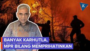Ketua MPR Prihatin atas Meluasnya Karhutla di Kalimantan dan Sumatera, Apresiasi Kinerja Pemerintah di Tengah Tantangan Berat