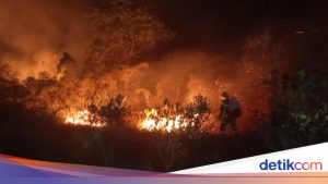Komisi II DPR: Patuhi Larangan Pembukaan Lahan dengan Cara Membakar