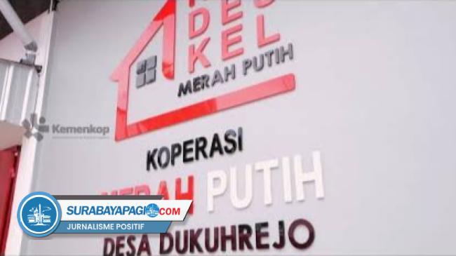 Koperasi Desa Dapat Bantuan Dana Peremajaan Sawit Rakyat