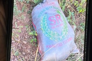 Kronologi Penemuan Mayat dalam Karung di Depok: Dari Temuan Hingga Penangkapan Pelaku