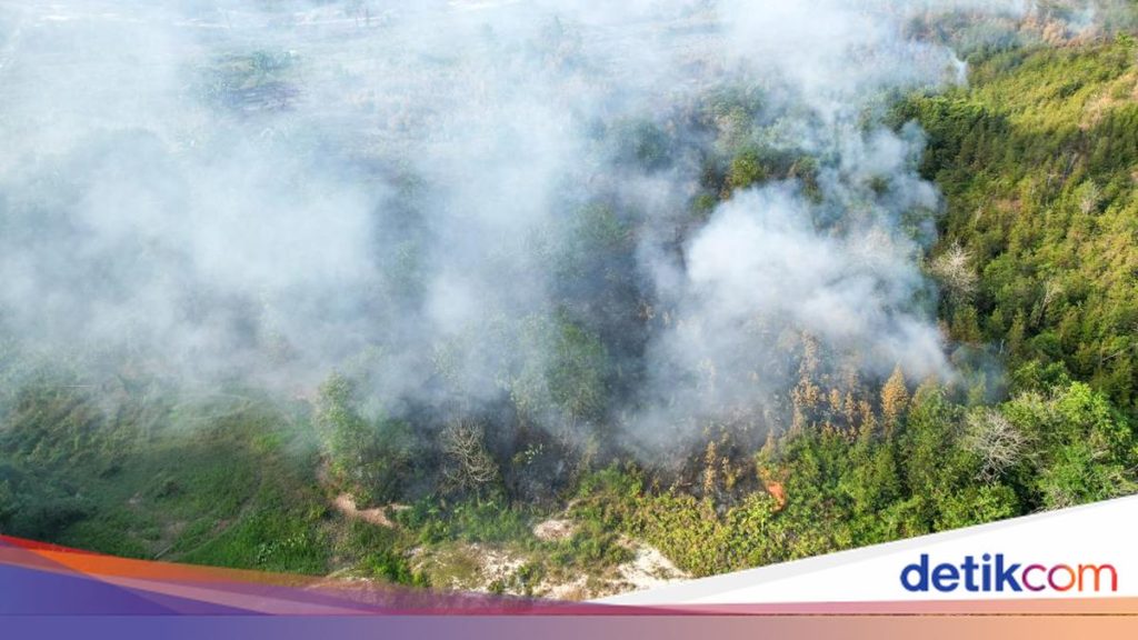 Langkah Pemerintah Atasi Karhutla: Instruksi Mendagri hingga Libatkan Perusahaan Sawit dan Tambang