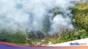 Langkah Pemerintah Atasi Karhutla: Instruksi Mendagri hingga Libatkan Perusahaan Sawit dan Tambang