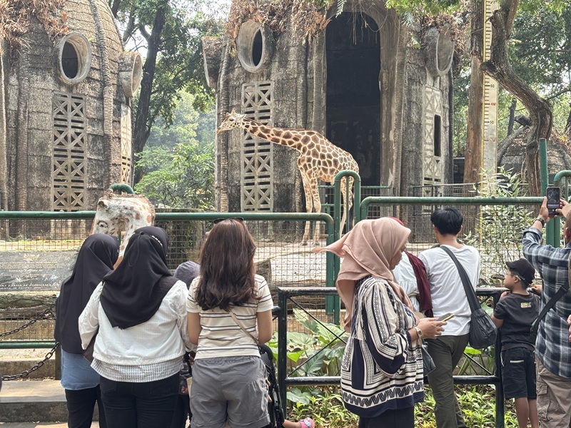 Liburan Edukatif Tanpa Menguras Dompet di Taman Margasatwa Ragunan