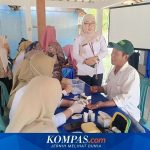 Menakar Ketangguhan Sistem Kesehatan Indonesia di Usia 81 Tahun Kemerdekaan