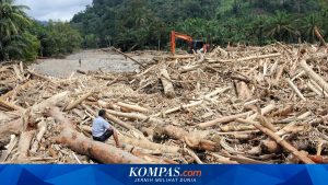 Menanti Langkah Nyata Pemerintah Pasca Putusan MK tentang Bencana Nasional