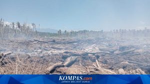 Mendagri Beberkan Dampak Banjir Sumatera: Dua Juta Jiwa Terimbas, Perlu Waktu Lebih dari Setahun untuk Pulih