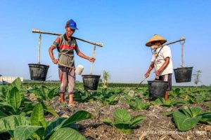 Menguatnya El Nino: Dorongan untuk Kebijakan Berbasis Sains dari Pemerintah