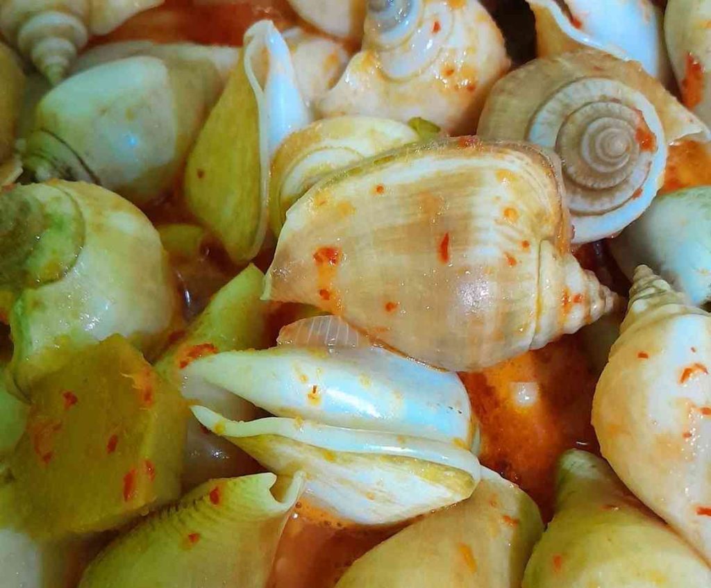 Menikmati Gonggong: Kuliner Siput Eksotis dari Pesisir Kepulauan Riau