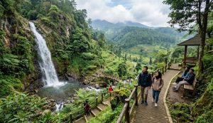 Menjelajahi Pesona Wisata Alam Pekalongan: Dari Curug Bajing hingga Petungkriyono