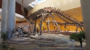 Menjelajahi Wisata Edukasi Terbaru di Solo: Atraksi Robot Cerdas di Tahir Solo Museum