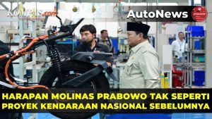 Molinas dan Bahaya Terulangnya Kegagalan Proyek Mobil Nasional