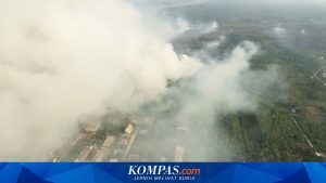 Negara Tetangga Protes Akibat Asap Karhutla, Desakan Status Bencana Nasional Kian Kuat