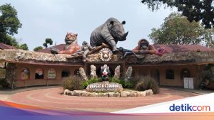 Nikmati Promo Tiket Faunaland Cibubur, Liburan Seru Bareng Satwa