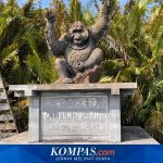 Panduan Lengkap Berkunjung ke Taman Nasional Tanjung Puting untuk Pemula