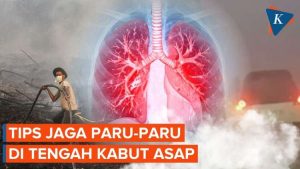 Panduan Menjaga Kesehatan Paru-paru Saat Terpapar Kabut Asap