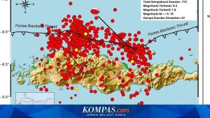 Pemerintah Didorong Tambah Anggaran Penanganan Gempa NTT, Posko Nasional Dibentuk