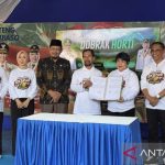 Pemerintah Sulteng Gandeng Akademisi Cegah Penyakit Bangkalan pada Durian