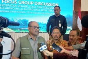 Pemulihan Lahan Sawah Terdampak Bencana di Aceh Capai Lebih dari Separuh